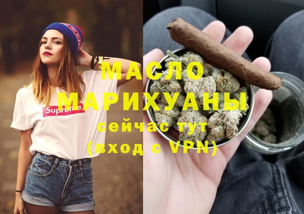 дмт Осташков