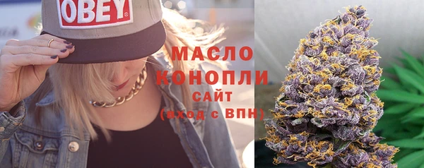 мдпв Осинники