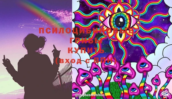 соль курить ск Алзамай